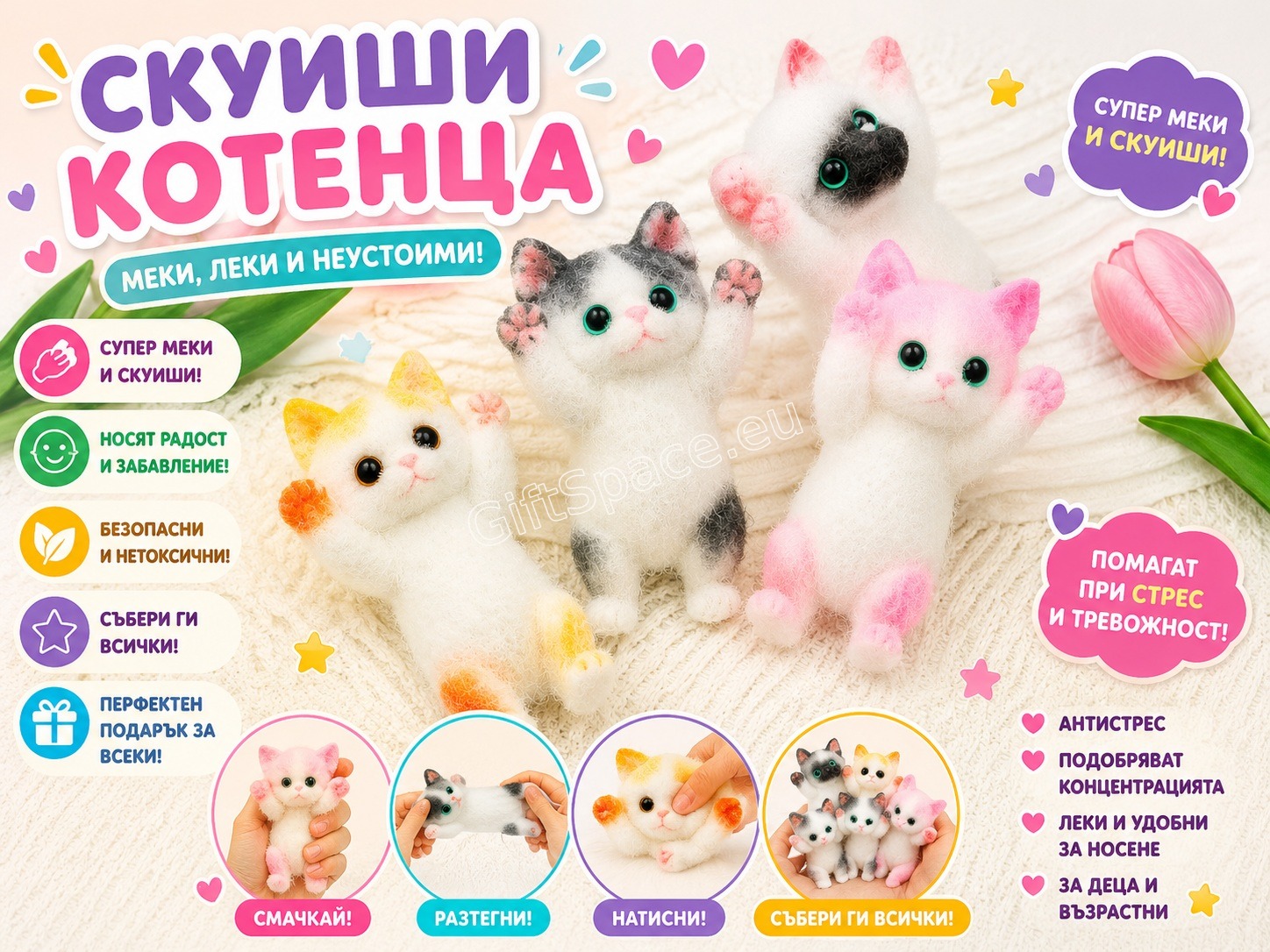 Скуиши коте в кутийка