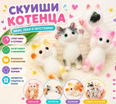 Скуиши коте в кутийка